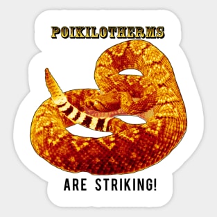 Poikilotherms (Rattlesnakes) Are Striking! Sticker